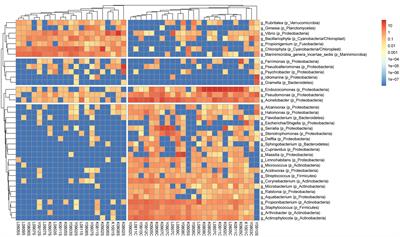 Long-Term Survey Is Necessary to Reveal Various Shifts of Microbial Composition in Corals